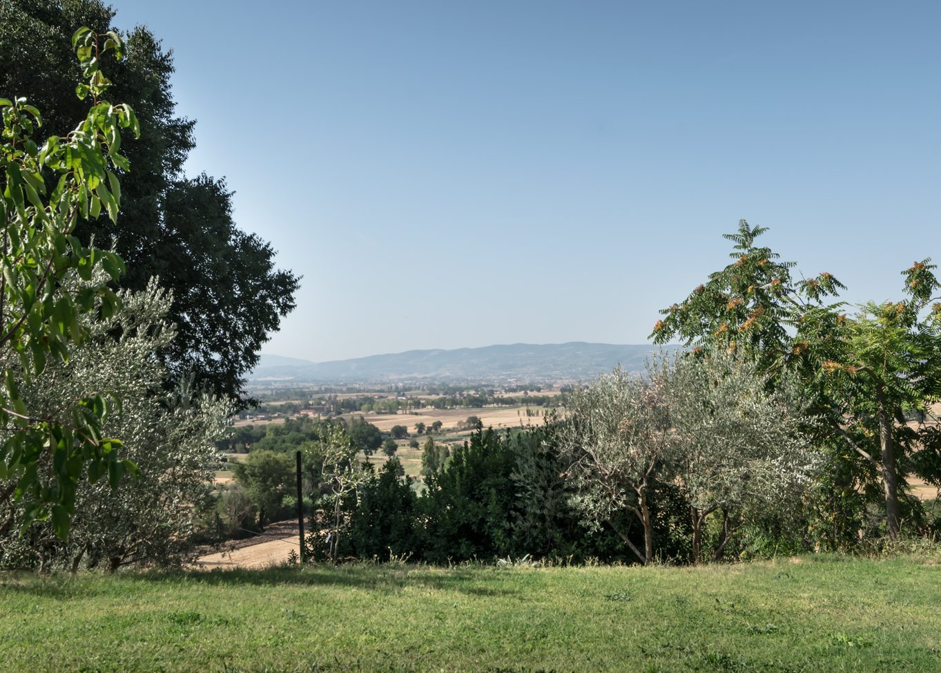 Camera 5 - B&B Cantico delle Creature